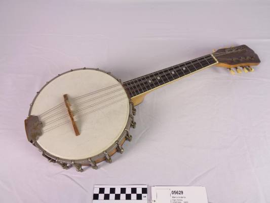 Mandolin-banjo