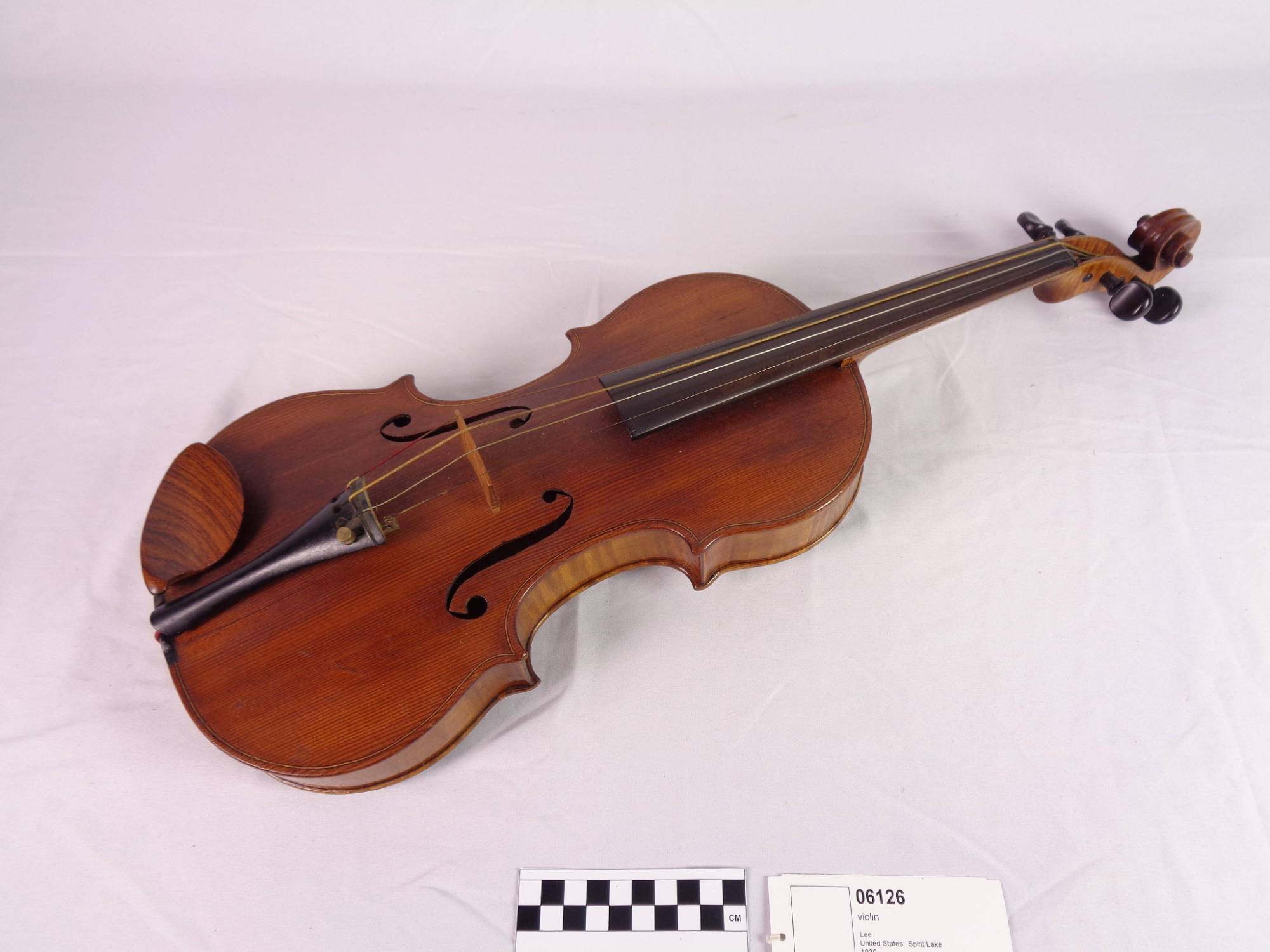 Violin