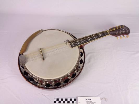 Mandolin-banjo