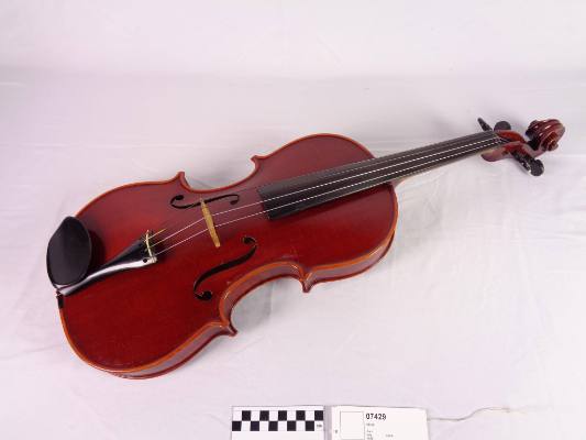 Viola