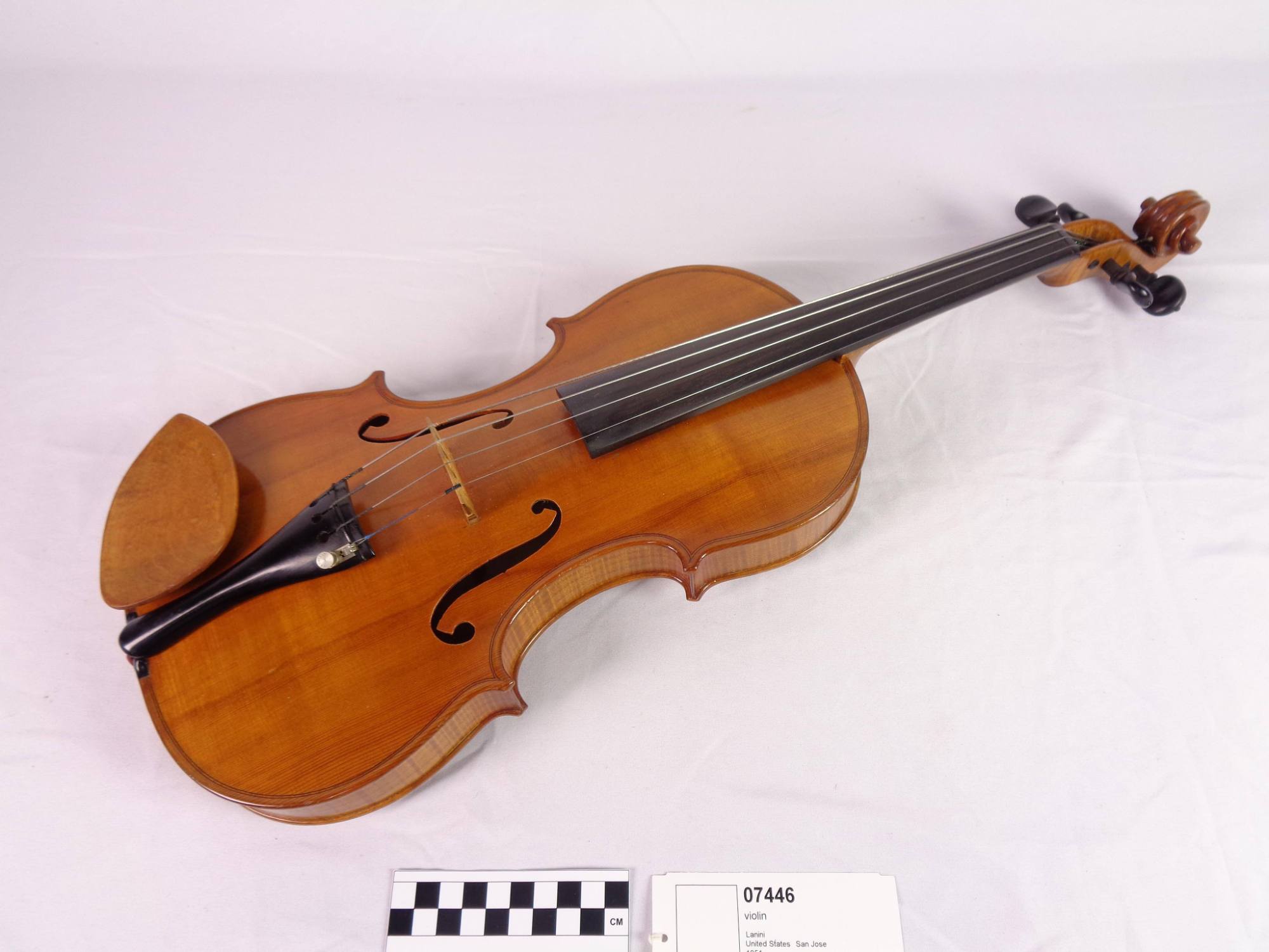 Violin