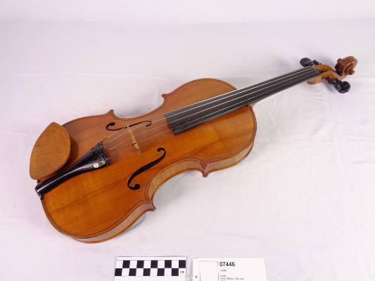 Violin