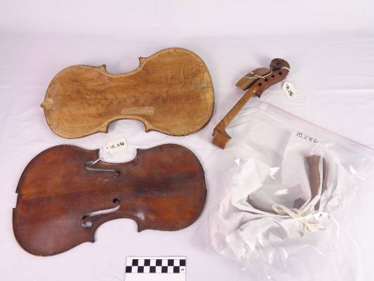 Violin