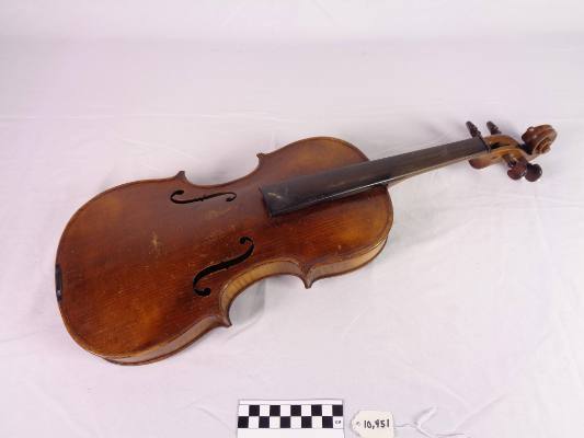 Violin