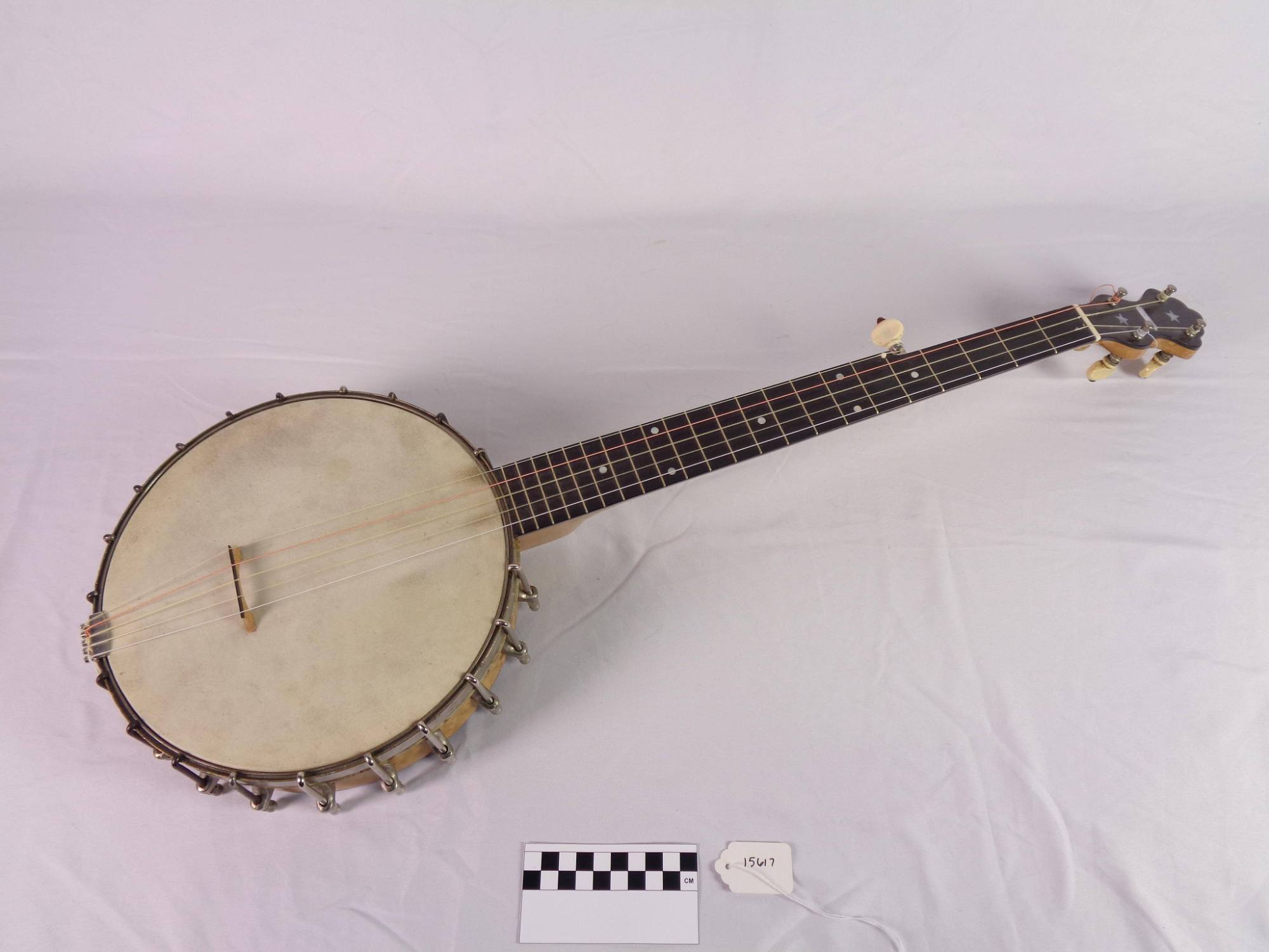 5-string banjo