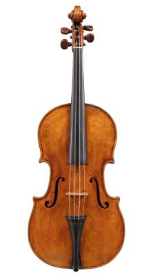 Viola