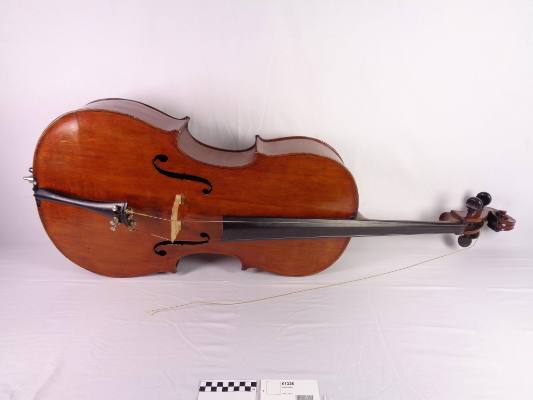 Violoncello