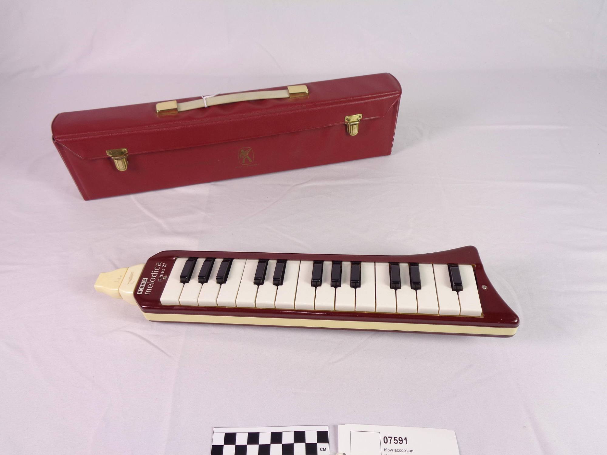 Soprano melodica
