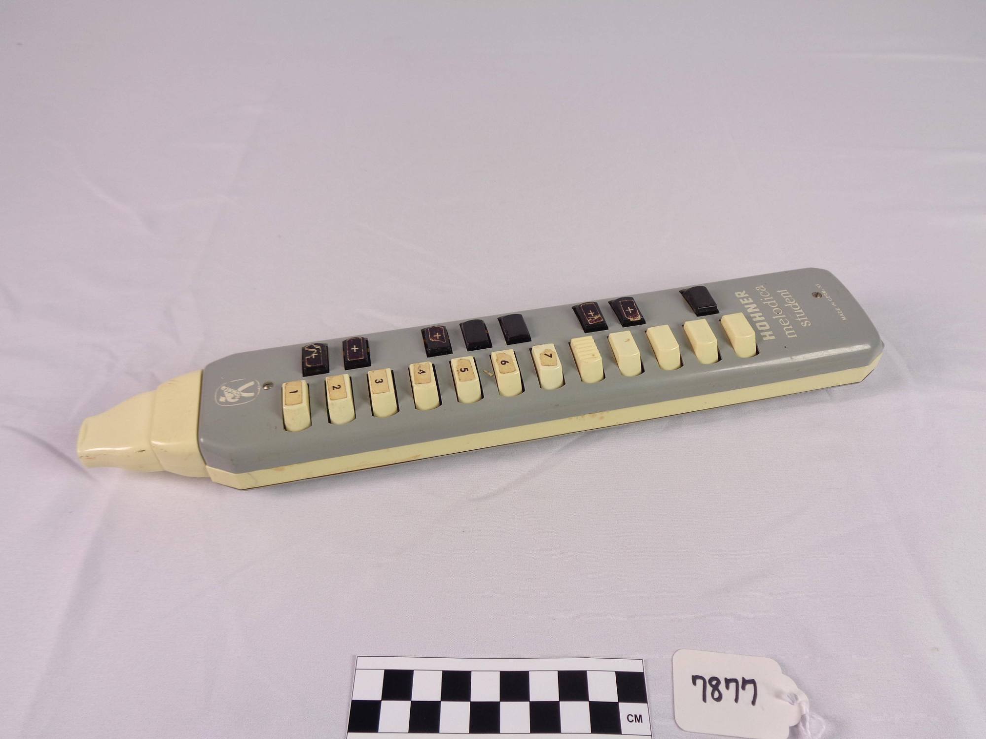 Melodica student