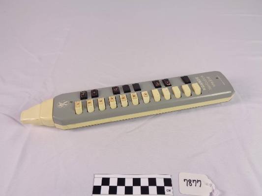Melodica student