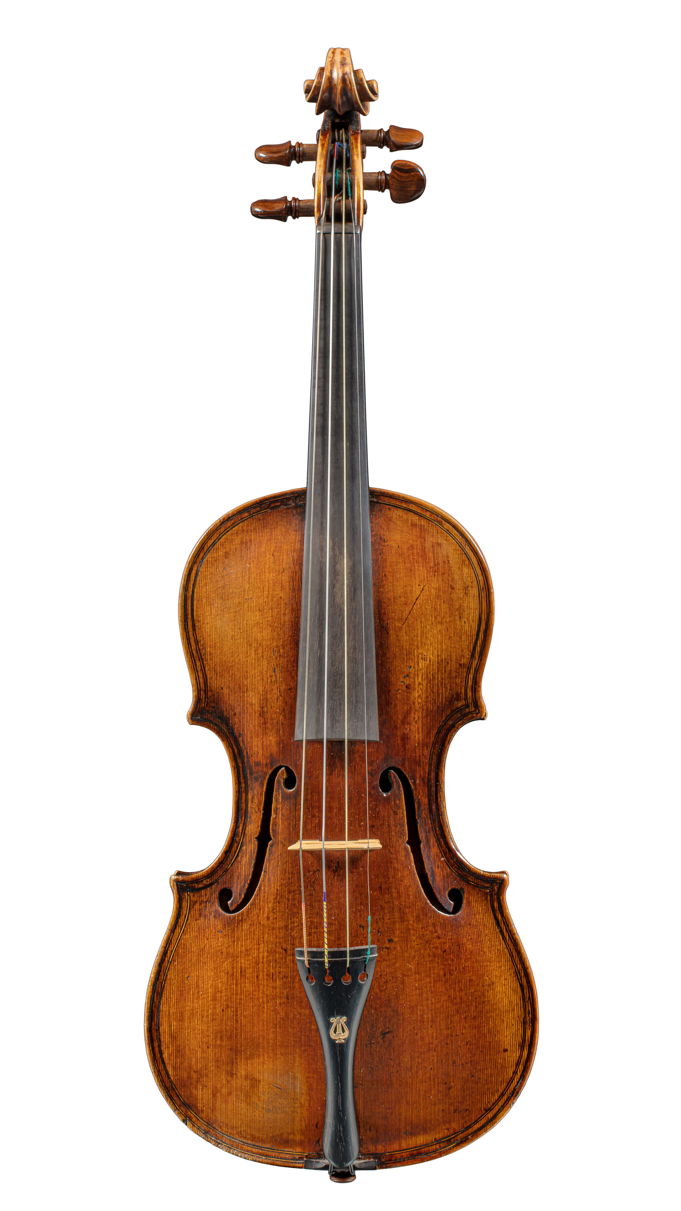 Violin