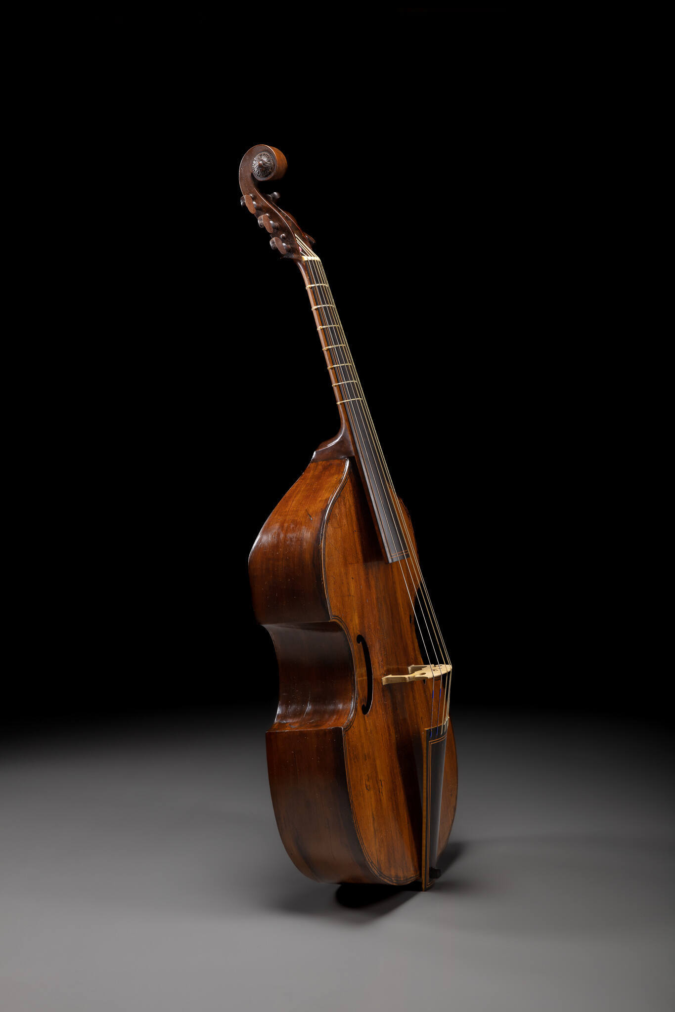 Bass viola da gamba