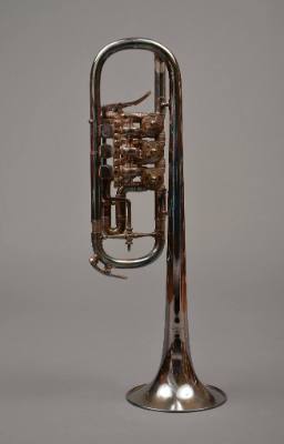 Trumpet, D