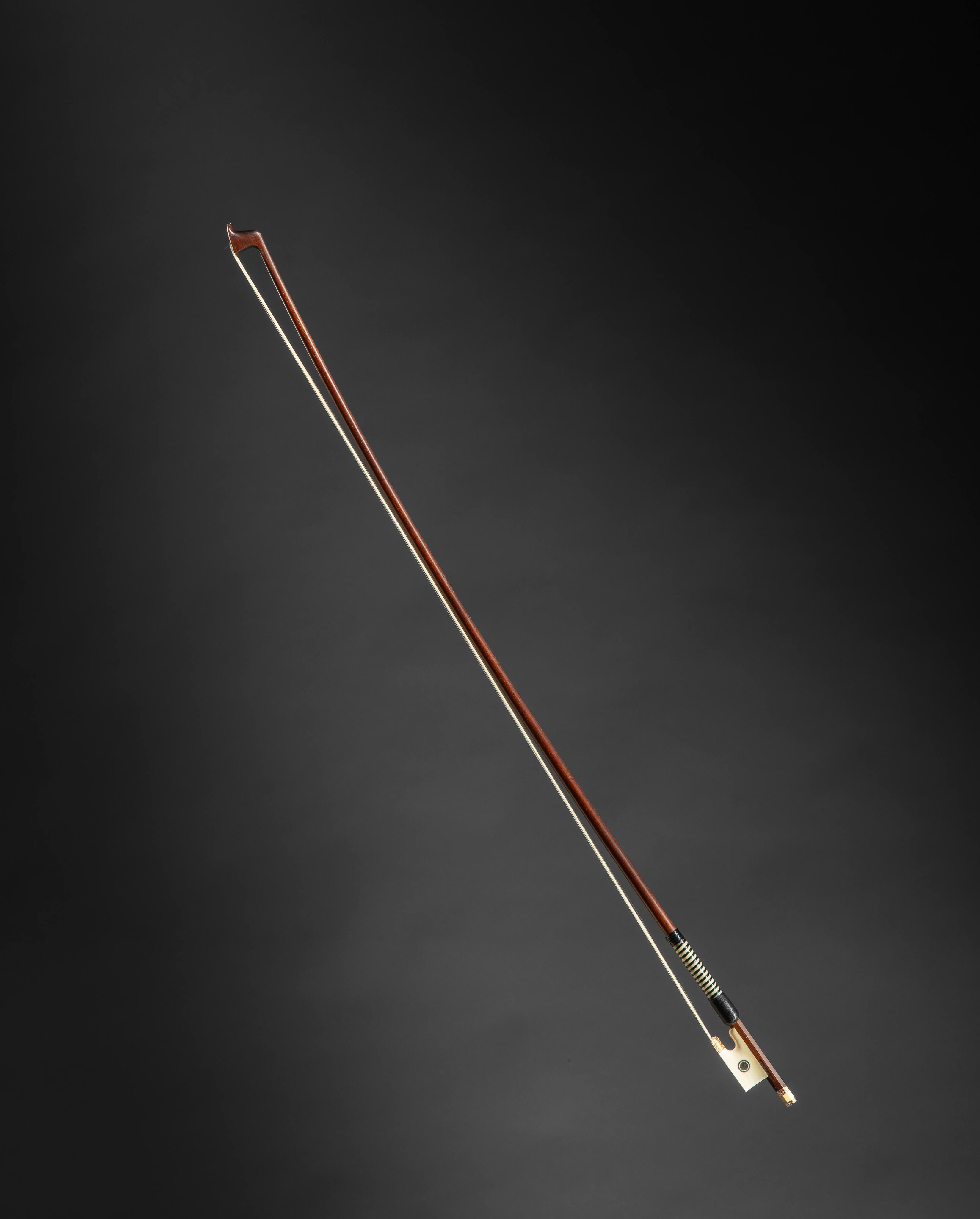 Violin Bow