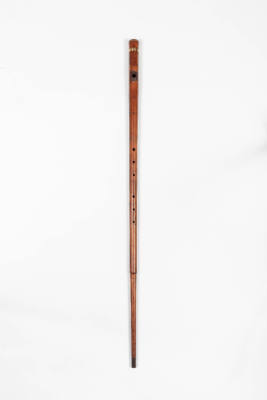 Walking stick flute in D