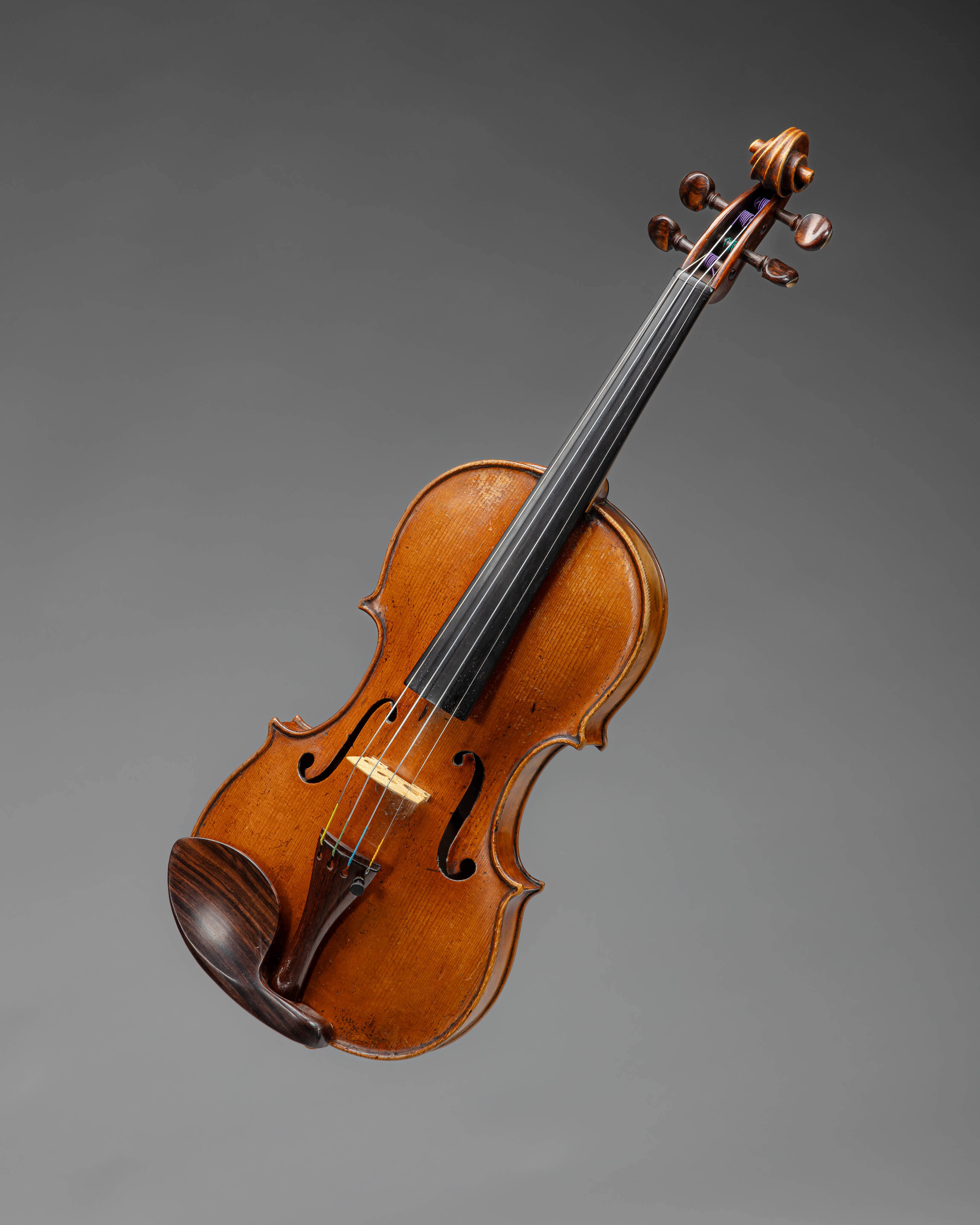 Violin