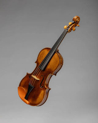 Viola