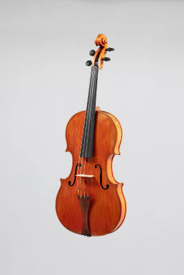 Viola